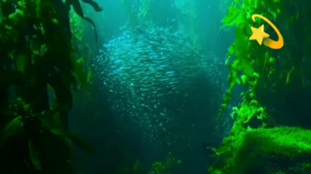 Музыка для глубокого сна, 3 часа релакса.Music for deep sleep, 3 hours of relaxation. смотреть онлайн