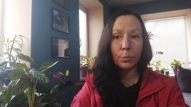 Соотношение сознательного/бессознательного в личности определяет 1я 1,5- стадия: ♈ Овен и ♉ Телец смотреть онлайн