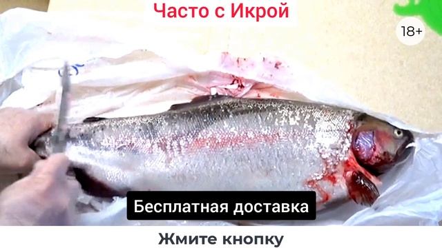 Доставка свежей Форели. Нижний Новгород