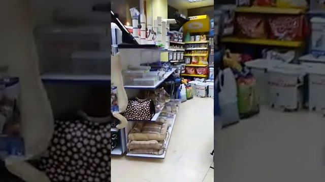 Зоотовары в тц Союз бутик 143.. смотреть онлайн