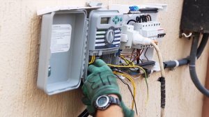 Автополив+газон