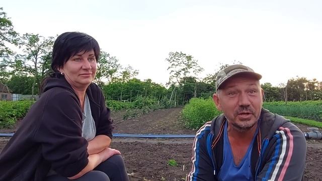 30 лет фермерства, огромная база знаний, культуры от зелени до сада. Знакомьтесь, Сергей Петрович смотреть онлайн