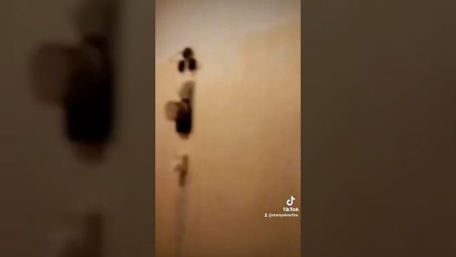 клею обои в коридоре смотреть онлайн