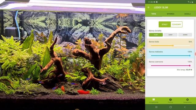 Test & Unboxing Aquael Leddy Slim link 36W Wifi - Lampa LED do akwarium смотреть онлайн