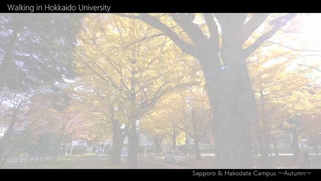 Walking in Hokkaido University, Sapporo & Hakodate Campus - Autumn смотреть онлайн
