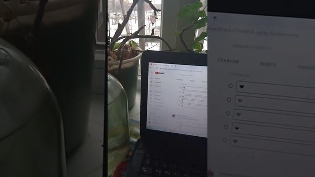 Как открыть вкладку сообщество на YouTube через нотбук смотреть онлайн