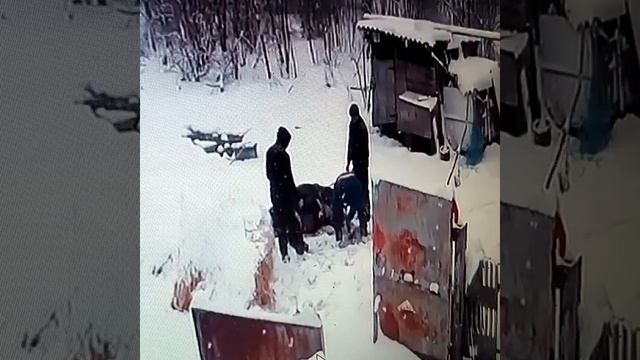 СМЕШЕНИЕ СЫЧУГА.КОНСЕРВАТИВНЫЙ СПОСОБ ЛЕЧЕНИЯ смотреть онлайн