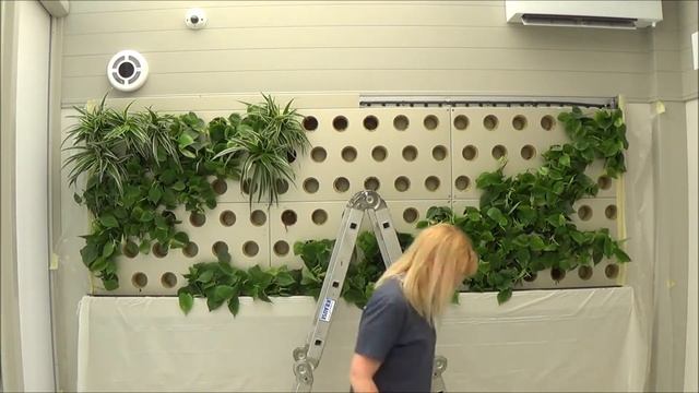 Зелена стіна на терасі (висаджування рослин) смотреть онлайн