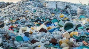 Тушда Ахлат курса | Tushda Axlat ko'rsa