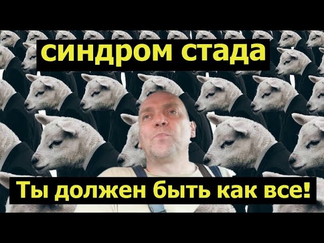 Как бросить пить навсегда. СИНДРОМ СТАДА. Ты должен быть как все! смотреть онлайн