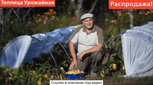 Мини-теплицы Урожайные - мини теплицы урожайные. уникальный складной парник - мини теплица купить.