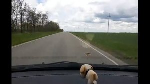 Ставрополь - Новоалександровск