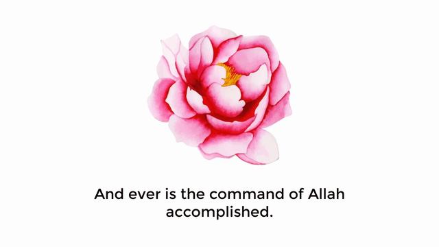 Beautiful Voice Recitation of Holy Quran - Surah Al-Ahzab ( 35 ) смотреть онлайн