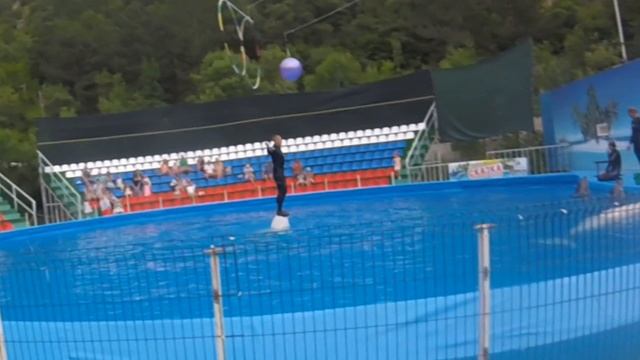 Ялтинский дельфинарий Yalta Dolphinarium смотреть онлайн