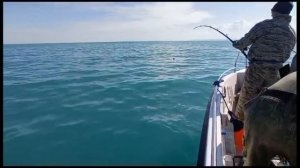 Крупная Треска на Баренцевом море-Рыбалка с "Михалычем" 28 июля 2023