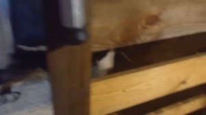 Аппарат МДУ 7+