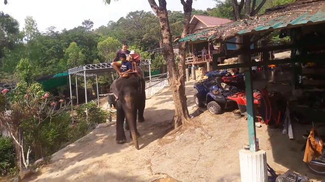 Тайланд. Прогулка на слоне смотреть онлайн