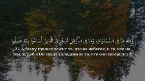 Чтец:Идрис Абкар