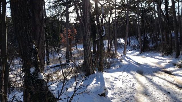 КАК АВСТРИЙЦЫ СПАСАЮТСЯ ОТ ДЕПРЕССИИ - АВСТРИЯ смотреть онлайн