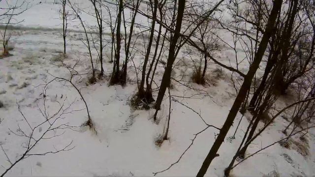 Охота на зайца. Подранка надо всегда стараться добрать. смотреть онлайн