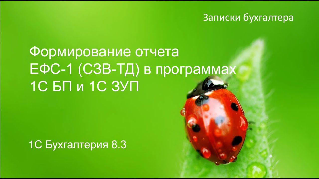Формирование ЕФС-1(СЗВ-ТД) в 1С БП и 1С ЗУП смотреть онлайн