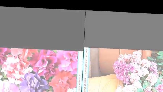 Hạt Giống Hoa Dạ Yên Thảo Kép - DOUBLE PETUNIA - PET001 Double Cascade Mix