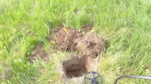 АКА Сигнум MFT 7272 с катушкой 9х12х20 кГц /Тест по глубине на чешую 20 см / кладоискатель / коп