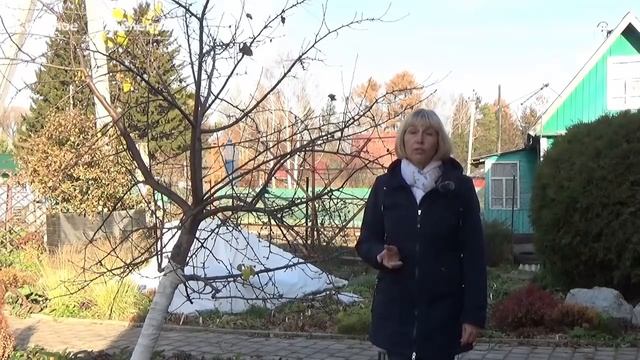 Завершение дачного сезона 2021. смотреть онлайн