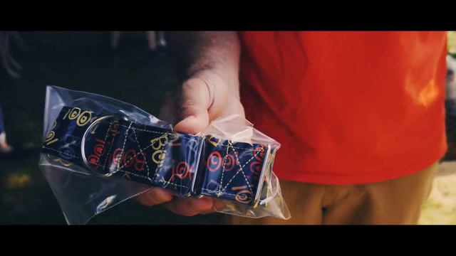 CT Greyhound Adoption-Short Film