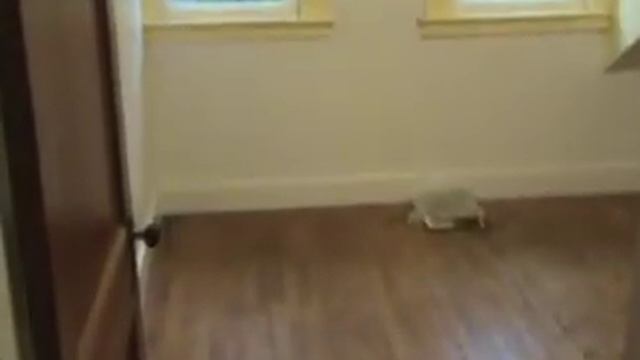 SOLD Maine Bungalow With Hardwood Floors, French Doors, Garage On Edge Of Town In Houlton ME #7772