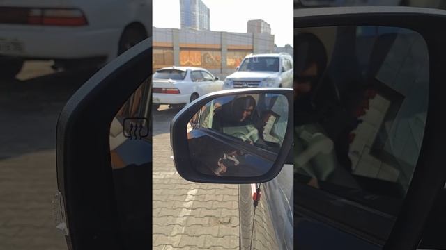 Как сэкономить миллион от цены диллера смотреть онлайн