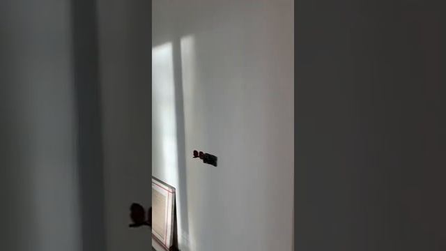 Пресня Сити смотреть онлайн