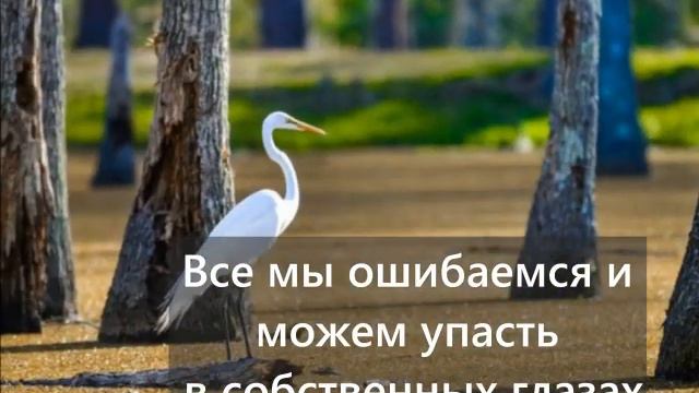 Что поднимает нас из "праха"? смотреть онлайн