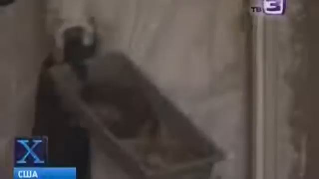 Х-версии: Алхимик из США готовил эликсир бессмертия из яда 300 змей смотреть онлайн