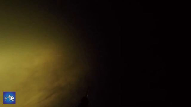 Подводная охота возле дома_сентябрь_часть 1 смотреть онлайн