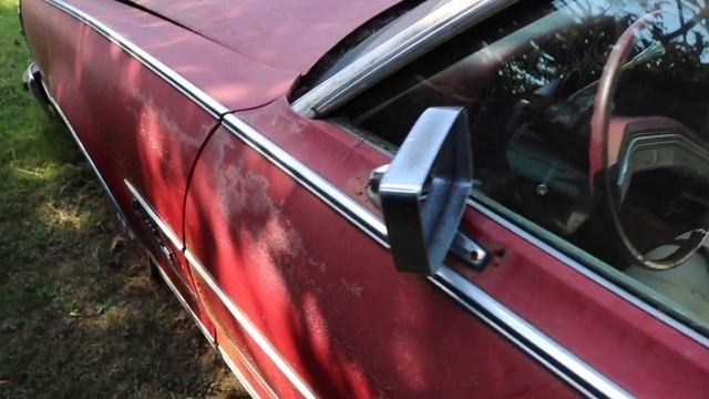 Exploring Abandoned Classic Cars, Austin Healey, Studebaker and More! Can You Identify Them All? смотреть онлайн