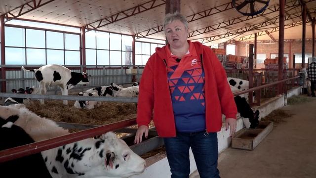 Как правильно выращивать ремонтный молодняк КРС? Кормление и содержание телят. Комбикорм для телят. смотреть онлайн