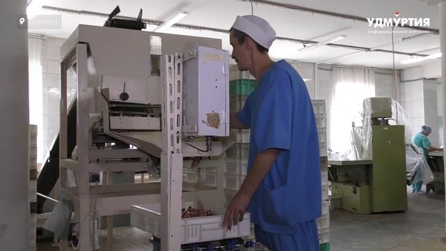 Сделано в Удмуртии: как производят конфеты в Сарапуле