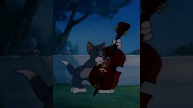 Серенада любви ( моя переозвучка 1) смотреть онлайн