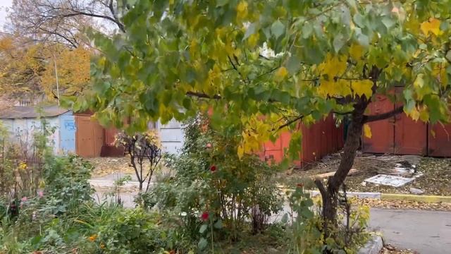 ХАБАРОВСК ПРОГУЛКА ЦЕНТР ЛЕНИНА ЭНЕРГОПЛАЗА ЛЕРМОНТОВА смотреть онлайн