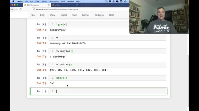 Python standard library: Memoryview смотреть онлайн