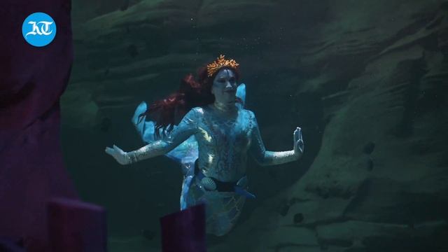 SeaWorld Abu Dhabi, UAE’s first dedicated marine life theme park смотреть онлайн