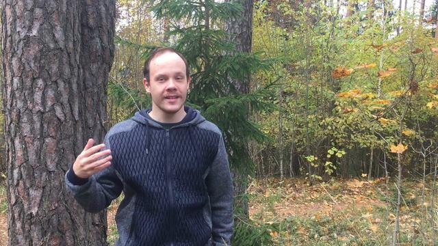 Не жалею, не зову, не плачу (Есенин) смотреть онлайн