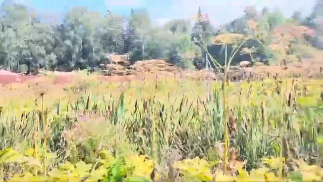 зу в д. Бережки :3353 смотреть онлайн