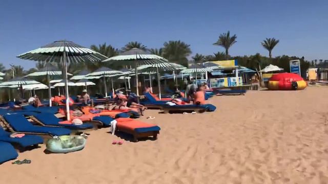 Куда свалить. Египет 2022. Зарядка. смотреть онлайн