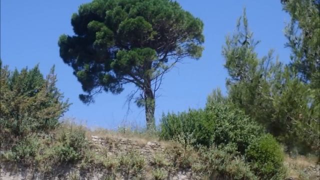 ИСТОРИЯ ОДНОГО ДНЯ...