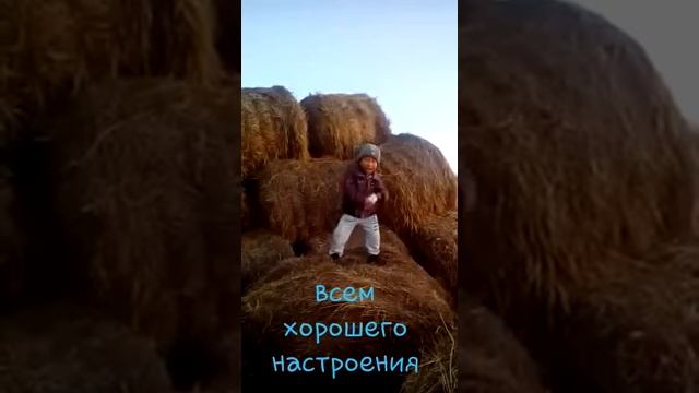 Красавчик танцует из Киргизии смотреть онлайн
