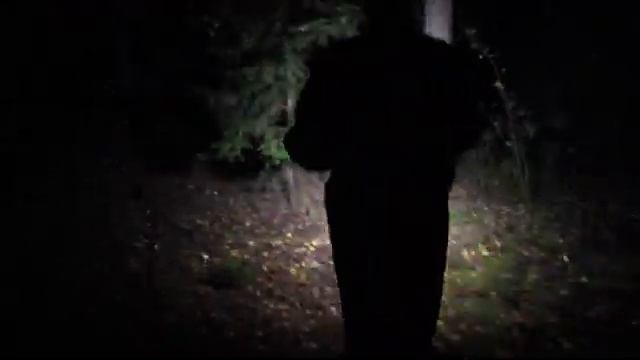 ?Грибы ... Можно ли насобирать [грибов ночью]... смотреть онлайн