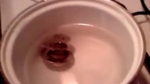 форд транзит. термостат. проверка