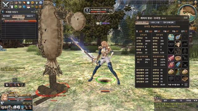Granado Espada New NPC Bridget Shausen All Skill Motion & Pose смотреть онлайн